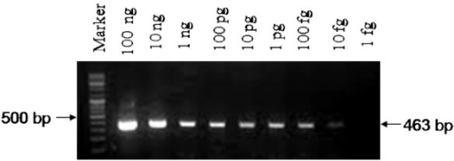 PCR Klamidia. Sumber: anonim, Openi, 2017.