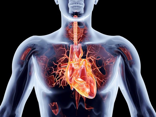 Penyakit Jantung Rematik Patofisiologi Diagnosis Penatalaksanaan 