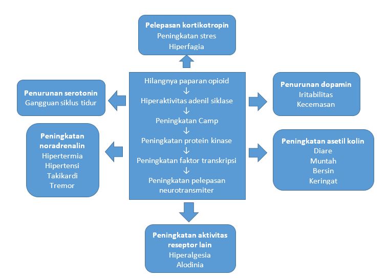 Ilustrasi mekanisme terjadinya gejala putus zat pada neonatus akibat opiat. Sumber: Kocherlakota, Pediatrics, 2014