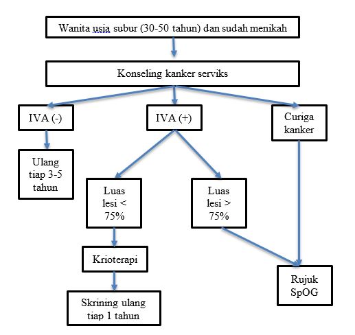 a papilloma vírus sterillé tesz)