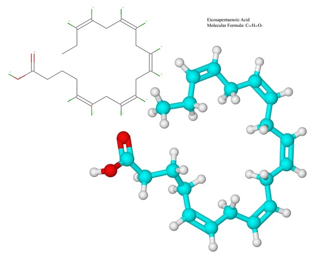 omega 3 fatty acid (EPA)