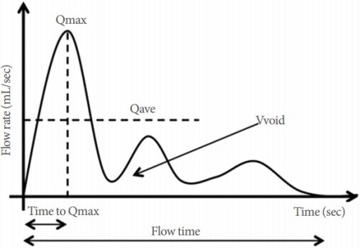 Gambar 2: Kurva uroflowmetry. Qmax, kecepatan aliran urin maksimal; Vvoid, volume urin (voided volume), Qave, kecepetan aliran urin rata-rata, flow time, lama waktu berkemih dalam satuan detik; time to Qmax, waktu yang dibutuhkan untuk mencapai Qmax dalam satuan detik. Sumber Gambar: Openi, 2019.